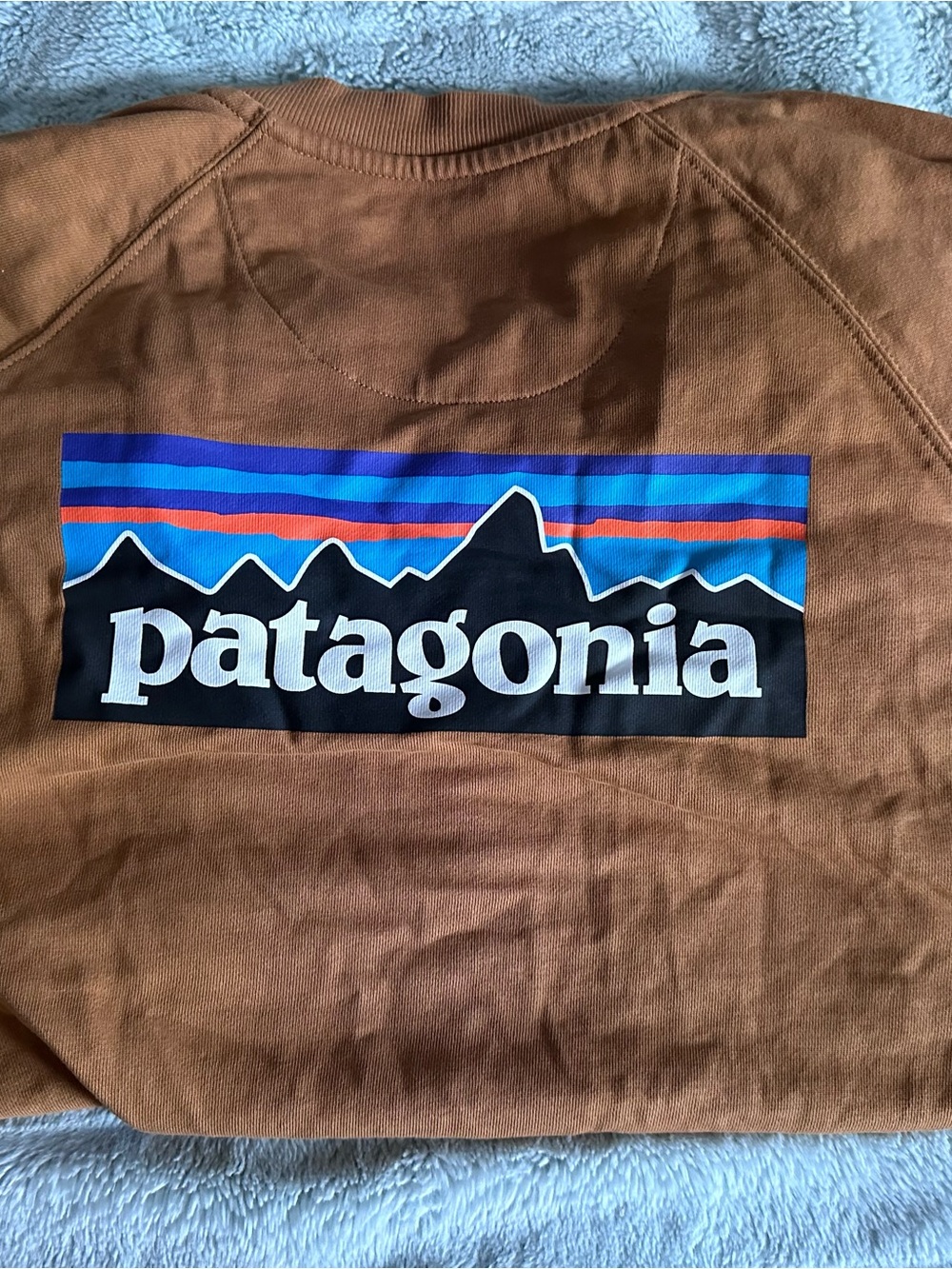 Patagonia Men’s Brown Sweatshirt Crewneck with Multicolor Logo on the back